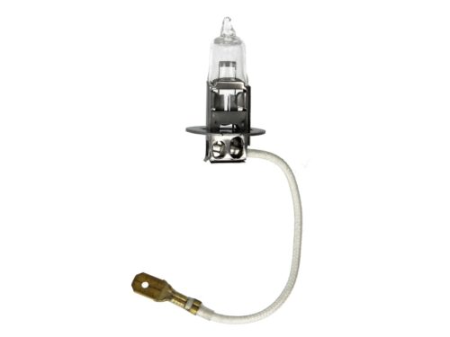 BecH3 12V 55W, PK22S Standard