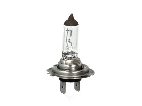Bec H7 12V 55W, PX26D Standard
