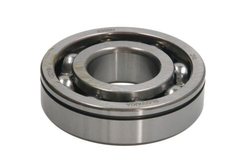 Rulment 30x72x19