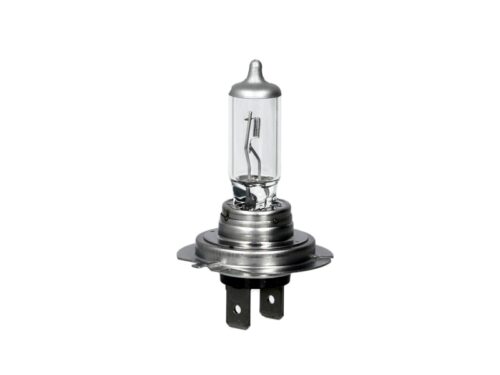 Bec H7 12V 55W, PX26D