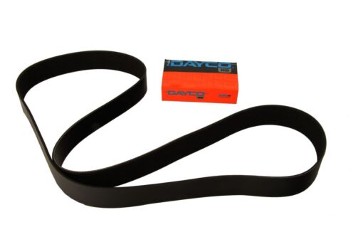 Curea transmisie cu caneluri 12PK1814 DAYCO
