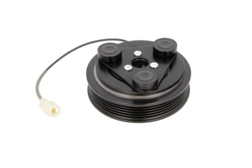 Kit reparatie compresor ambreiaj AC PANASONIC 12V 5PK