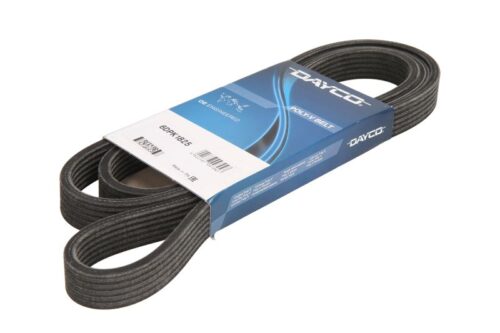 Curea transmisie cu caneluri 6PK1825 DAYCO
