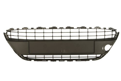 Grila centrala bara fata Ford Fiesta V,Fiesta VI 10.2003-02.2013