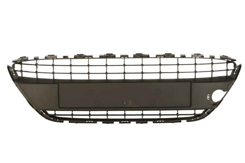 Grila centrala bara fata Ford Fiesta V,Fiesta VI 10.2003-02.2013