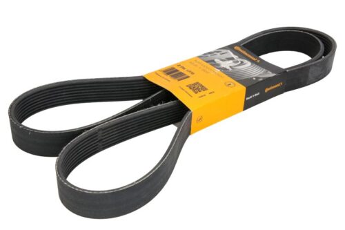 Curea transmisie cu caneluri 8PK1770 CONTITECH