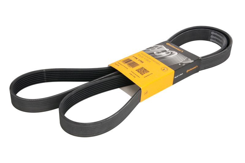 Curea transmisie cu caneluri 7PK1795 CONTITECH