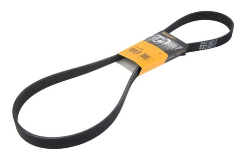 Curea transmisie cu caneluri 7PK CONTITECH