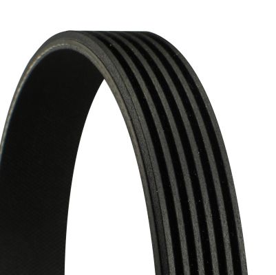 Curea transmisie cu caneluri lungime 2120 mm CONTITECH