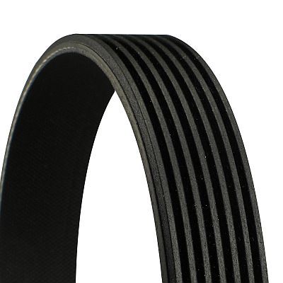 Curea transmisie cu caneluri 7PK1350 CONTITECH