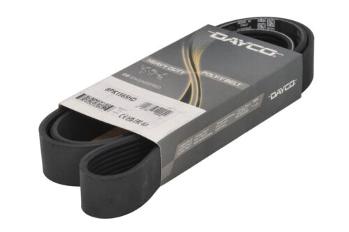Curea transmisie cu caneluri 8PK1565 DAYCO