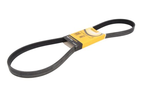 Curea transmisie cu caneluri 6PK1240 CONTITECH